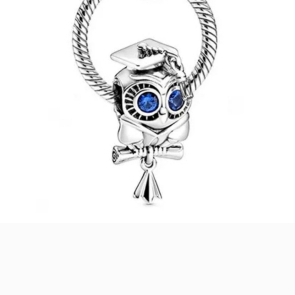 Owl Charm